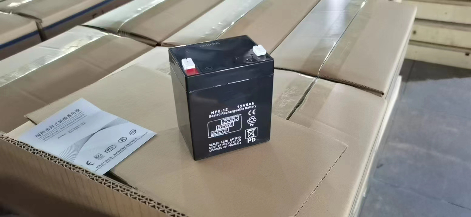 Trailer Breakaway kit Battery